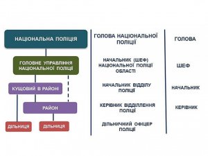 Фото: Аваков розповів, чим поліція відрізнятиметься від міліції (інфографіка)
