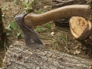 Фото: На Полтавщині чоловік незаконно вирубував дерева