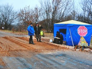 Фото: Поліція: про порушника на  синьому "мерседесі", який віз телят, нам не повідомляли