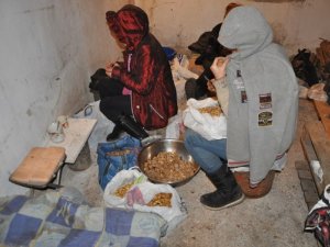 Фото: У Полтаві «накрили» підпільний цех з переробки горіхів