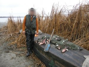 Фото: На Полтавщині браконьєри спіймали риби на 25 тисяч гривень