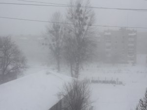 Прихід зими знеструмив  87 населених пунктів Полтавщини