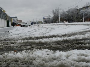 Зима до Полтави прийшла з відлигою: фоторепортаж