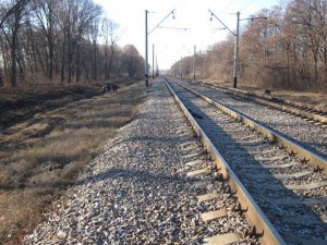 Фото: Опізнали труп, знайдений на залізниці в Миргородському районі