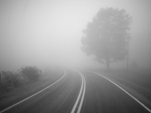 Фото: На Полтавщині туман – поліція закликає водіїв бути обережними