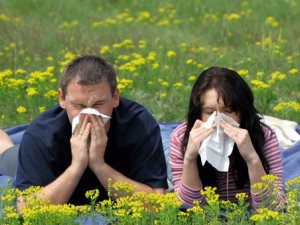 Фото: Полтавці мало знають про алергію: опитування