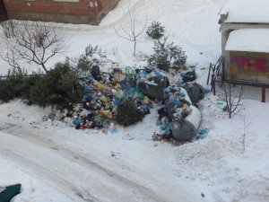 Фото: Двір розчищений, а сміття не вивозять: полтавці скаржаться на владу (фотофакт)