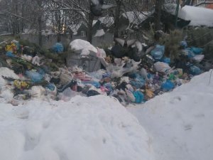 Фото: Полтава потопає у смітті (фотофакт)