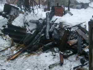 Фото: У Гадячі від вогню рятували рідкісних голубів