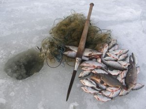 Фото: На Полтавщині затримали трьох рибалок