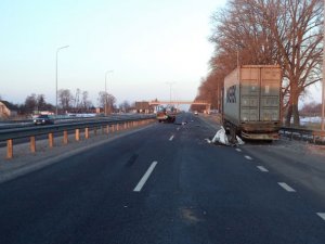 Фото: На Полтавщині у ДТП загинув підліток