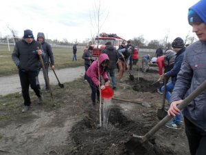 Фото: У Глобиному висадили майже 600 беріз