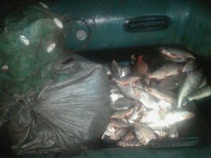 Фото: На Полтавщині чоловік незаконно наловив риби майже на 30 тисяч