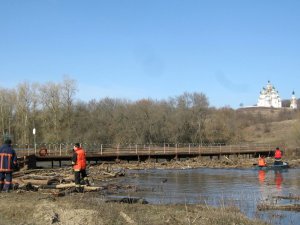 Фото: У Гадяцькому районі дерева в річці ледь не зруйнували міст
