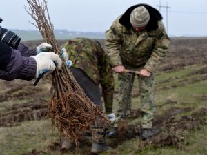 Усі в ліс: у лісівників пора весняних робіт (ФОТО)