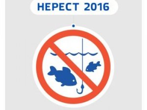 Фото: На Полтавщині заборонили ловити рибу з 1 квітня