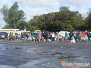 Фото: Дерева у сквері на площі Слави спиляли, бо вони були аварійні