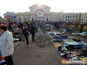 Які дерева посадили замість спиляних на Південному вокзалі Полтави