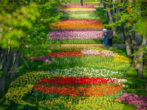 Фото: Подорожуємо Україною: куди поїхати весною