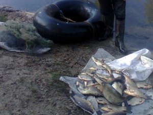 Фото: На Дніпродзержинському водосховищі браконьєр виловив 27 кілограмів риби