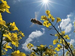 Погода у Великдень: прогнози синоптиків на вихідні