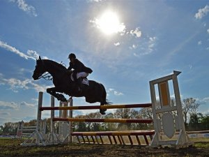 На Полтавщині відбулися кінноспортивні змагання (ФОТО)