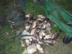 Фото: У Глобинському районі чоловік незаконно наловив риби на вісім тисяч гривень