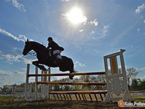 Фото: Огляд новин за тиждень у Полтаві: коні, Петро та Мазепа