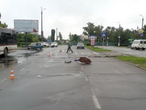 Фото: У Горішніх Плавнях водій «БМВ» збив жінку