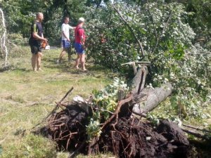 На Полтавщині буревій знеструмив 43 населених пункти та завалив дерева
