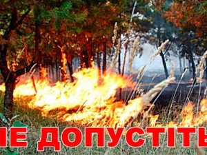 Фото: Лісівники просять полтавців утриматися від відвідування лісу