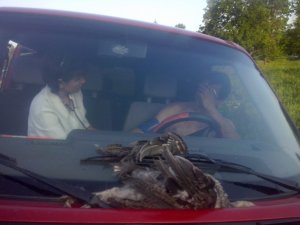 Фото: Нетверезий полтавський чиновник у самих трусах спочатку ледь не переїхав двох жінок на своєму авто, а потім побив їх (фото, відео)