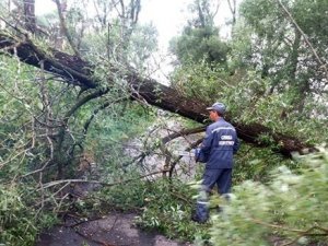 Фото: На Полтавщині негода застала ще 5 районів: про наслідки