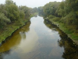 Фото: Через негоду у Лубнах зійшла вода зі ставків: люди на полях збирали рибу