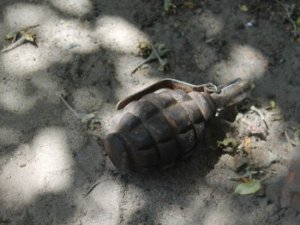 Фото: На Полтавщині жінка знайшла у себе на городі гранату