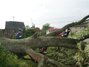 Фото: Кілька районів Полтавщини постраждали від негоди