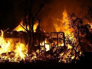 Фото: У Полтаві подружжя пенсіонерів згоріли у будинку