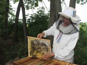 Фото: Унікальне училище в Гадячі, де навчають бджолярів, під загрозою закриття