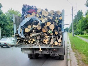 Фото: У Полтаві зупинили вантажівку із незаконною деревиною