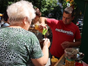 Фото: Не все спокійно в бджолиному королівстві: пасічники розповіли, чому меншає меду