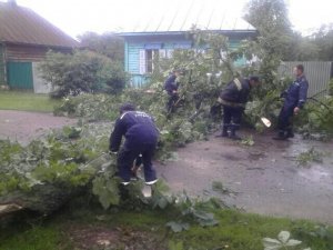 Фото: Другий день негоди на Полтавщині: повалені стовпи й дерева, затоплені будинки, райони без світла