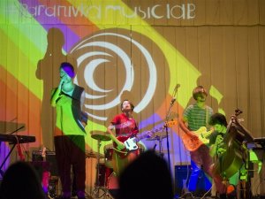 Музика та театр у сільському клубі в Баранівці