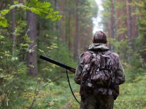 Фото: В Україні створять нову мисливську службу, де платитимуть від 8 тисяч гривень