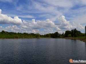 Фото: На Полтавщині за оренду ставків заборгували майже 800 тисяч гривень