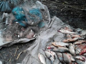 На Полтавщині браконьєри виловили близько 60 кілограмів риби