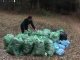 Фото: У Полтаві дендропарк гине від сміття