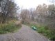 Фото: У Полтаві дендропарк гине від сміття
