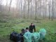 Фото: У Полтаві дендропарк гине від сміття