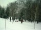 Фото: У Полтаві власники собак облюбували парк
