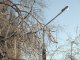 Фото: Полтаву вкрило інієм